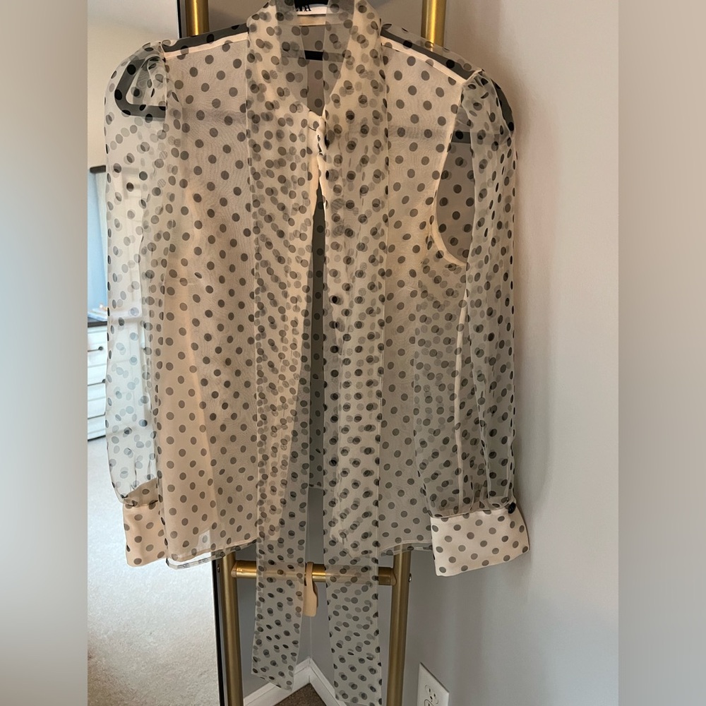 Zara polka dot blouse